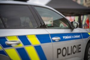 Pohřešované sourozence z Jihlavska ukrývala matka. Našli je policisté