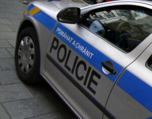 Sklapla past. Cizinci kradli dětské stavebnice ve velkém, skončili v cele