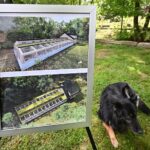 FOTO: Stanice Pavlov zahájila stavbu centra pro zraněná zvířata za 21 milionů