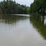 Koupání zakázáno! Tři vodní plochy na Vysočině nesplňují kvůli sinicím hygienické limity