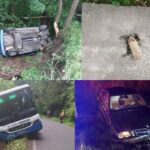 Krimi zprávy z Brodska: autobus skončil v příkopu, zloděj ukradl auto a naboural