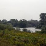 Povodí Odry podle ČIŽP porušilo zákon při úpravě řeky Olše na Frýdecko-Místecku