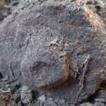 U Chotěboře ležela protitanková střela