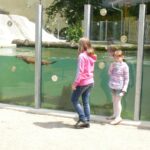 Vlašimská paraZOO nabízí návštěvníkům balíček se smyslovými pomůckami