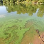 K vodě? Kachlička i Ředkovec mají stále zákaz, voda je nebezpečná