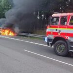 Knihy v budoucnu určitě nezaniknou, stejně jako neskončilo ani divadlo, věří nakladatel Brandejs