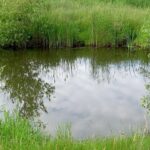 Soukromník chce obnovit zanedbaný mokřad v Žižíně, říká mu Malá Amazonie