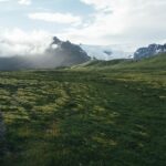 Vědci z Masarykovy univerzity objevili na Islandu čtyři druhy plžů z Evropy