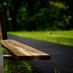 Veřejnost může hlasovat pro Park čtvrtstoletí, na výběr je z 22 možností