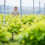 O vinici v Hněvkovicích, jednu z mála na Vysočině, pečuje neurolog Stránský
