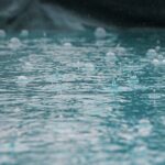 Pardubice chtějí sjednotit péči o zeleň i dešťovou vodu