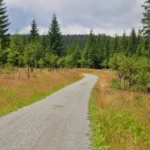 Možnosti adaptace lesnického hospodaření na změnu klimatu se podobají v Česku i Sasku